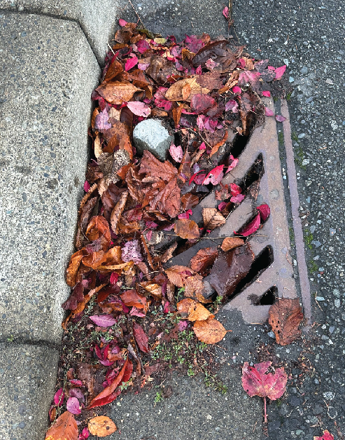 Town of Comox asking residents to keep storm drains clear of debris ahead of first seasonal storm