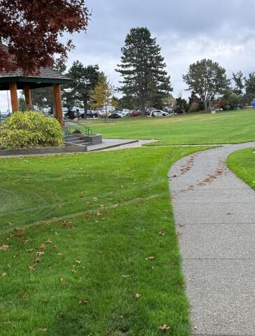 Vehicle causes damage to Comox Marina Park grass