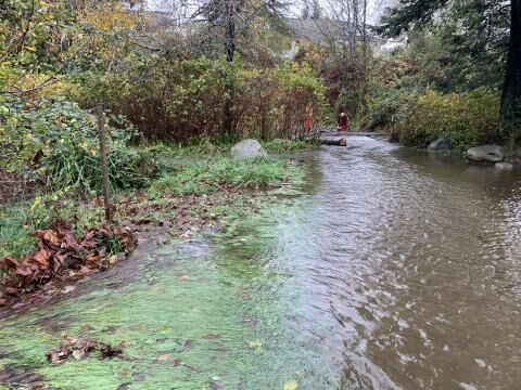 Comox says avoid Baybrook Park due to overflowing creek
