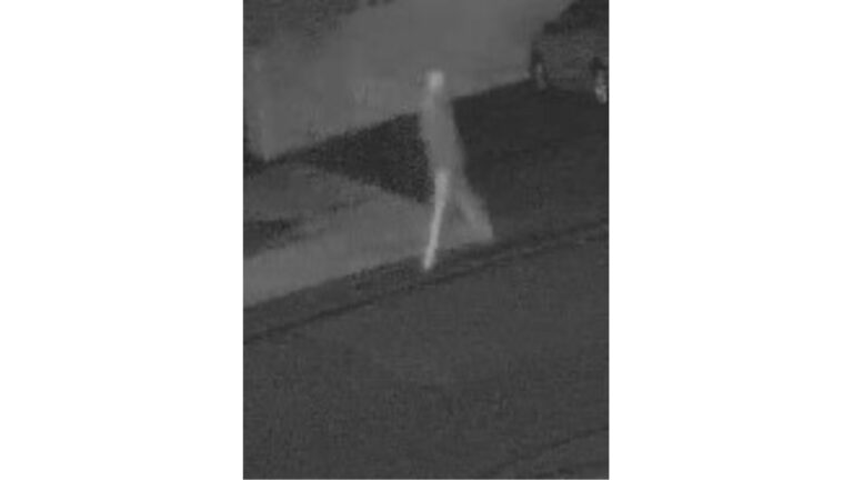 Police looking for witnesses to Skeena Drive fire