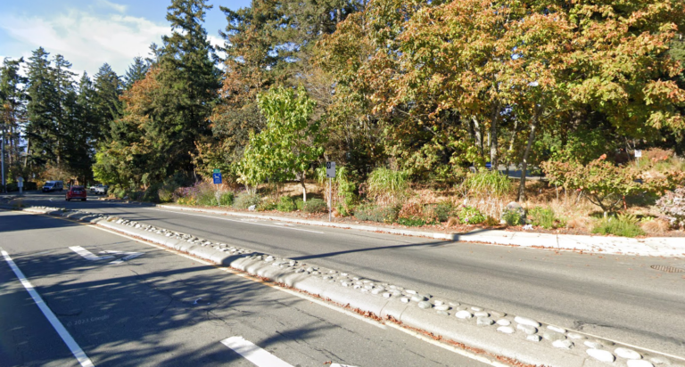 Town provides update on potential removal of Comox Road Garden