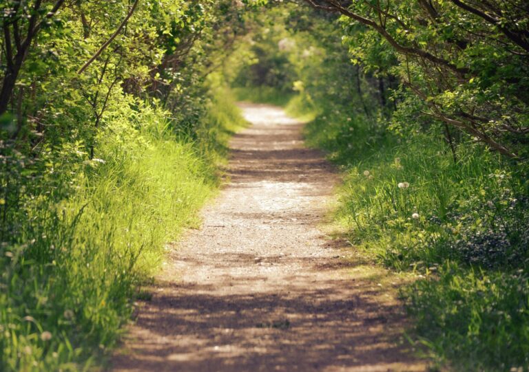 British Columbians invited to Fifth BC Trails Day this June